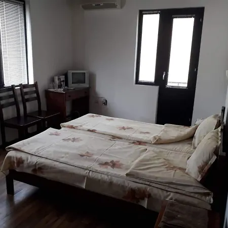 костина - Kostina