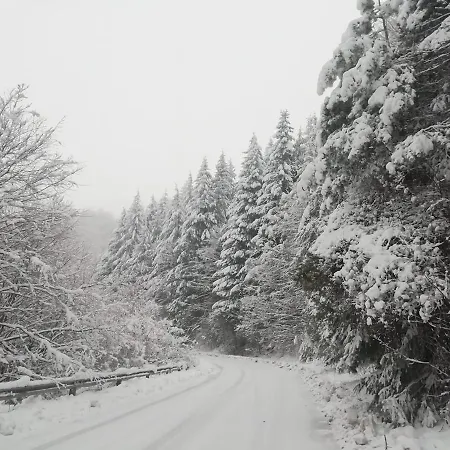 костина - Kostina Otel