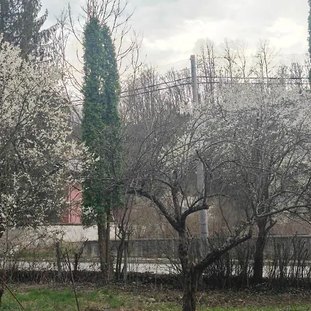 костина - Kostina Hotel Ribarica