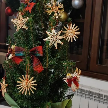 костина - Kostina 2* Ribaritsa