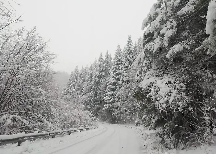 костина - Kostina Hotel