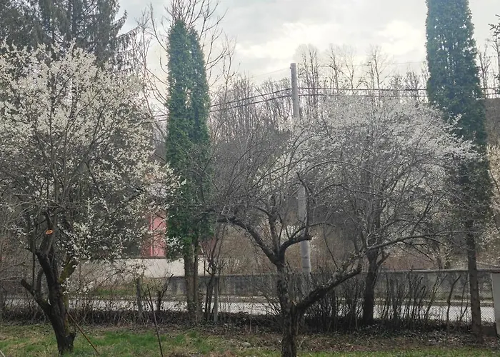 костина - Kostina Hotel Ribarica